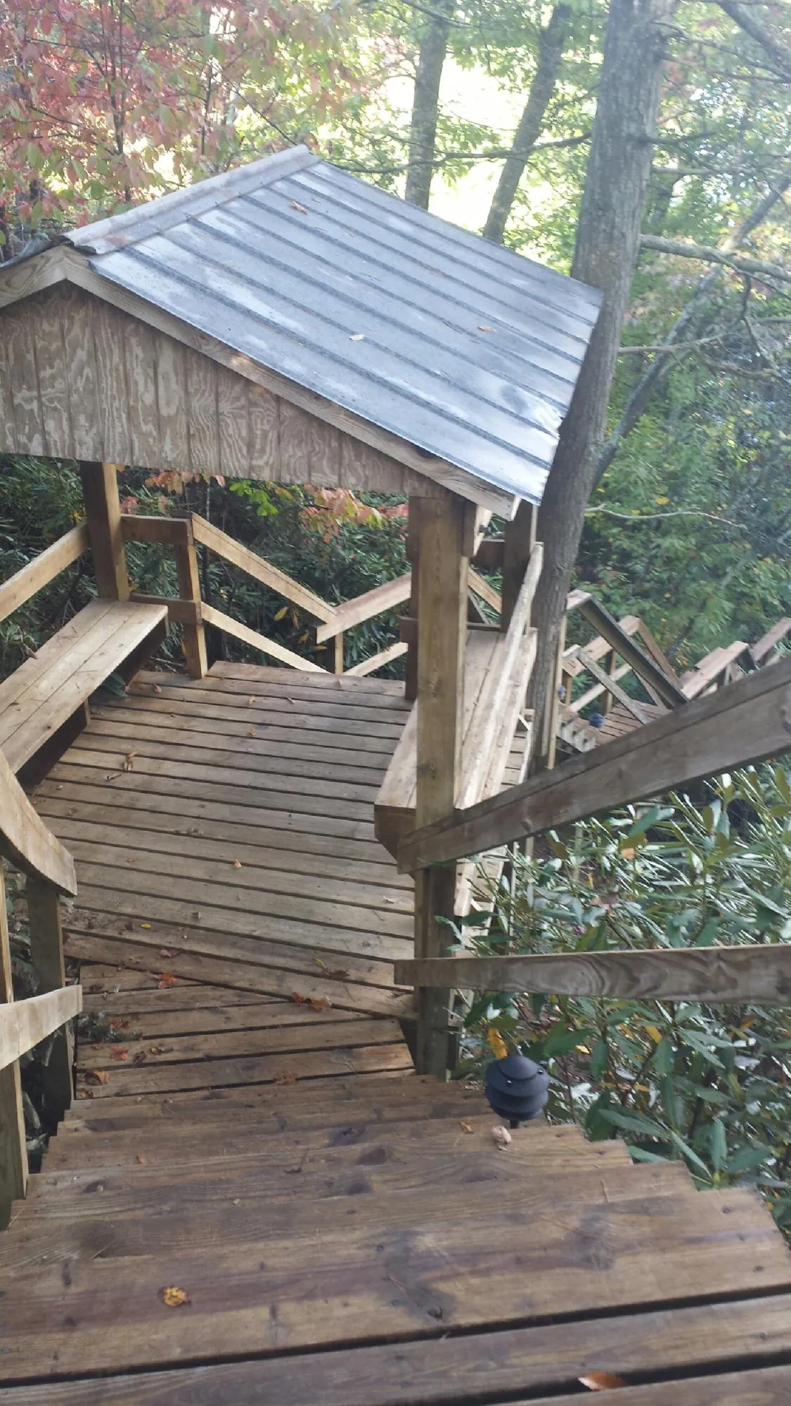 Metal roofed shelter over wooden steps on a wooded walkway — Skylight Repair & Installation work by our crew in Moraga